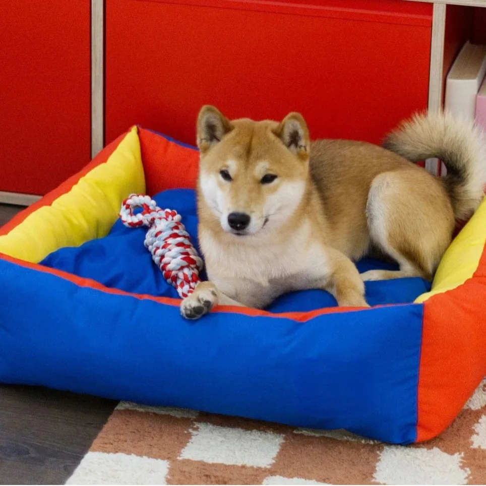 Removable and washable canvas dog bed, pet bed, small and medium-sized dog bed, Teddy Pomeranian mat, Pet products
Removable and washable canvas dog bed, pet bed, small and medium-sized dog bed, Teddy Pomeranian mat, Pet products