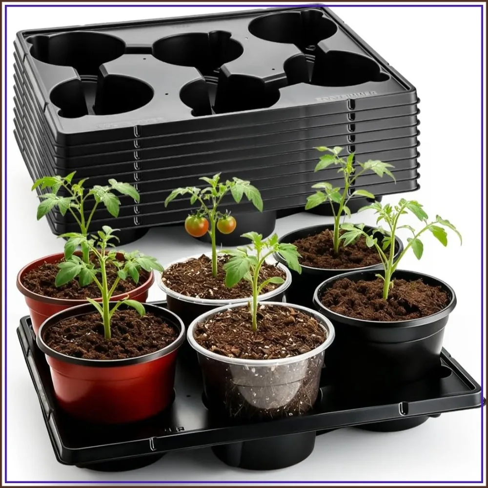 6-Cell Round Nursery Pot Trays for 6 Inch Pots, Thickened Sturdy Seedling Pot Shuttle Tray, Durable Carrying Tray for Holding 6 Inch Plastic Plant Pots (17.08"x13.14", 10-Pack)
6-Cell Round Nursery Pot Trays for 6 Inch Pots, Thickened Sturdy Seedling Pot Shuttle Tray, Durable Carrying Tray for Holding 6 Inch Plastic Plant Pots (17.08"x13.14", 10-Pack)