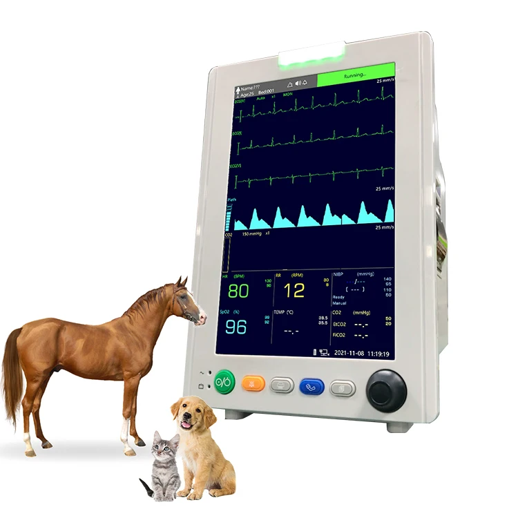 VCA800V Animal Medication Veterinary Medical Pet Supplies and Equipment Pet Heart Rate Monitor
VCA800V Animal Medication Veterinary Medical Pet Supplies and Equipment Pet Heart Rate Monitor