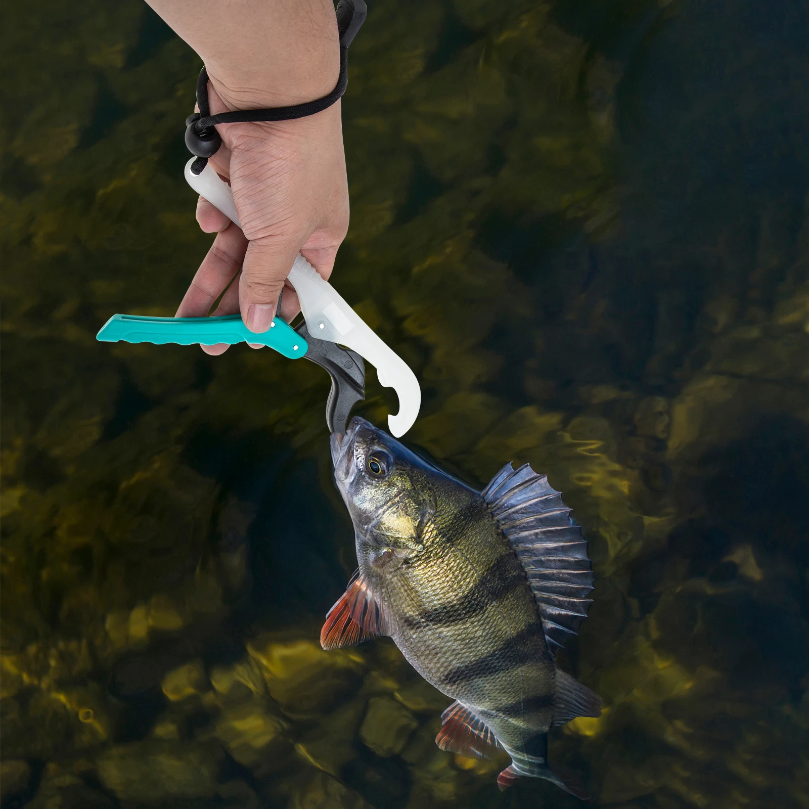 Foldable Fish Portable ABS Strong Resistant Lightweight Portable Fish Gripper Fishing Accessory Gift
Foldable Fish Portable ABS Strong Resistant Lightweight Portable Fish Gripper Fishing Accessory Gift
