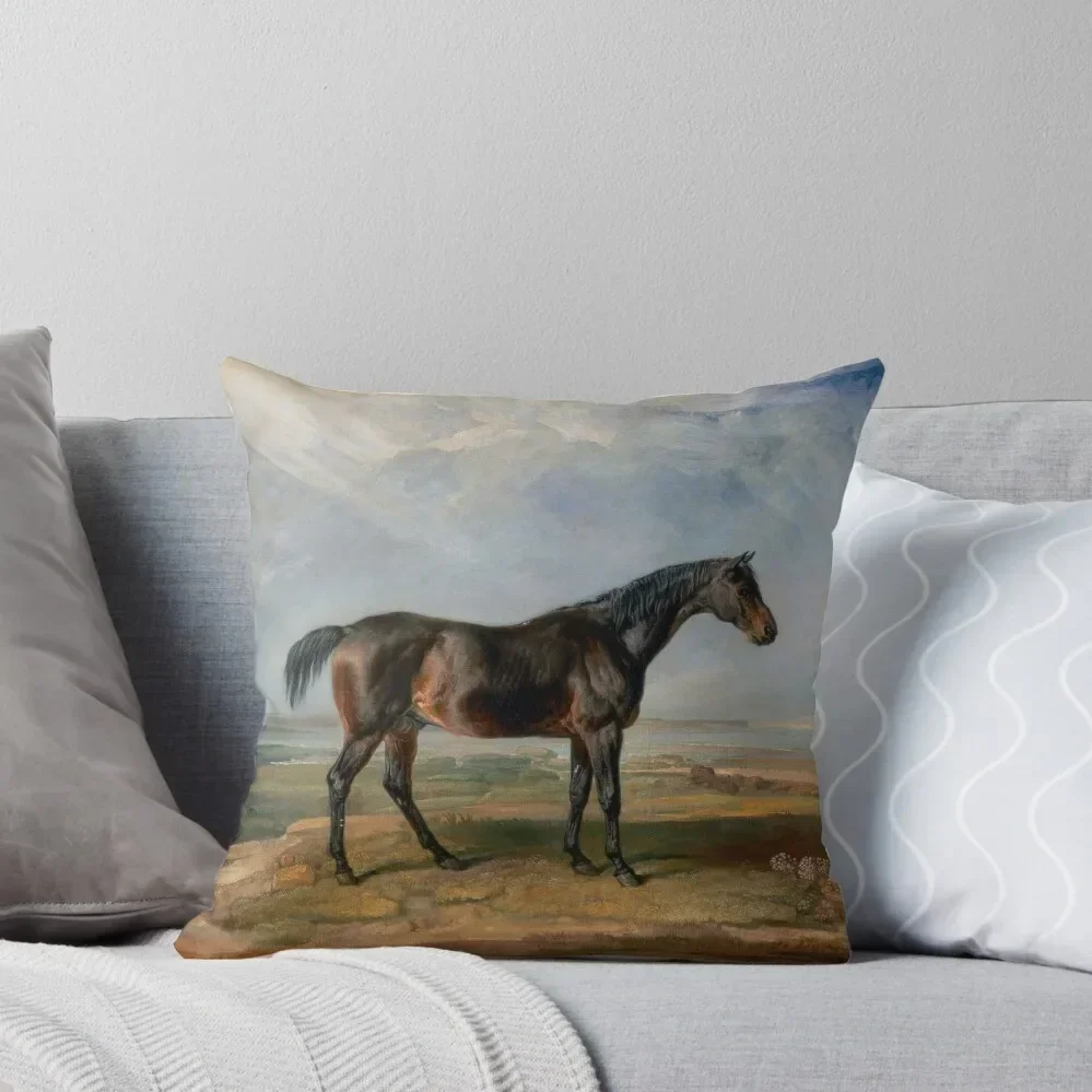 Portrait of Dr. Syntax Vintage Bay Horse Throw Pillow Pillow Case Christmas luxury sofa pillows ornamental pillows pillow
Portrait of Dr. Syntax Vintage Bay Horse Throw Pillow Pillow Case Christmas luxury sofa pillows ornamental pillows pillow