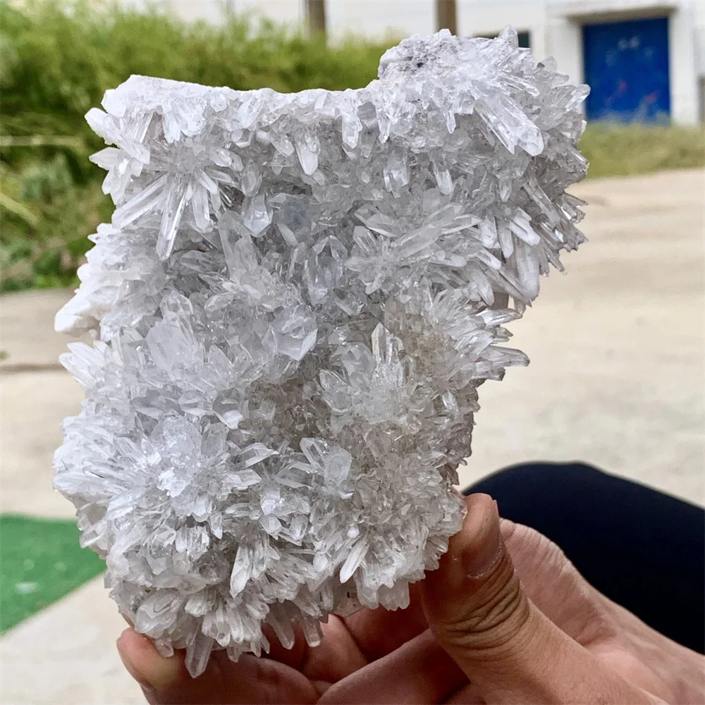 Natural chrysanthemum crystal cluster quartz, energy gemstone, spiritual healing, meditation demagnetization, gift, collection
Natural chrysanthemum crystal cluster quartz, energy gemstone, spiritual healing, meditation demagnetization, gift, collection