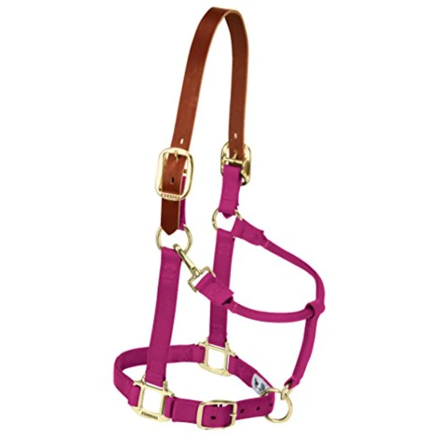 Breakaway Horse Halter, ple Leather Crown, Adjustable Brass Throat Snap Halters for Horses, Equine Tack
Breakaway Horse Halter, ple Leather Crown, Adjustable Brass Throat Snap Halters for Horses, Equine Tack