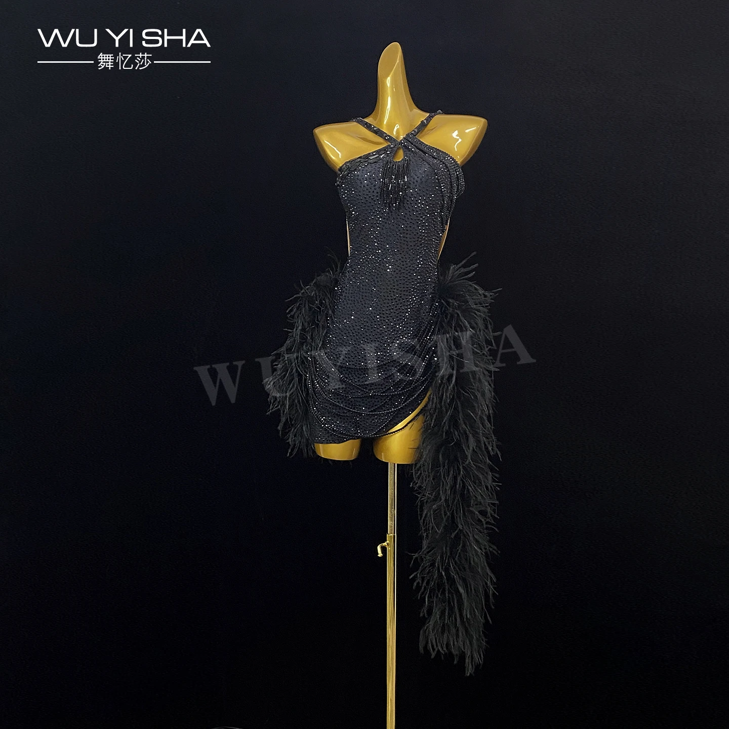 Wuyisha High-End New Latin Dance Costumes for Women and Girls Latin Dance Performance Competition Costumes 2680 Black
Wuyisha High-End New Latin Dance Costumes for Women and Girls Latin Dance Performance Competition Costumes 2680 Black