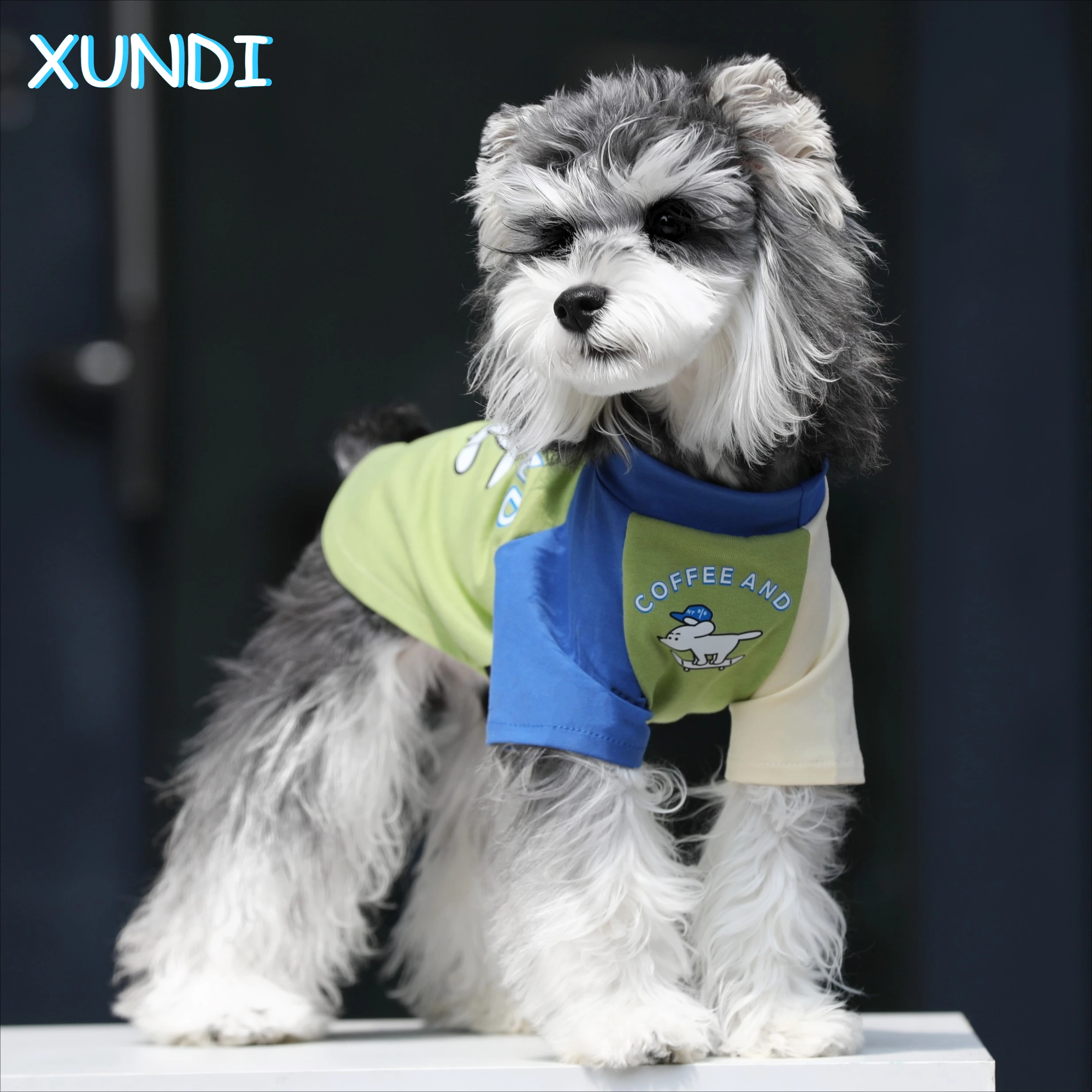 Breathable Dog Cotton Shirt, Lightweight Spring Summer Thin Color Block Cute Pet T-Shirt for Small Dogs Daily Wear
Breathable Dog Cotton Shirt, Lightweight Spring Summer Thin Color Block Cute Pet T-Shirt for Small Dogs Daily Wear