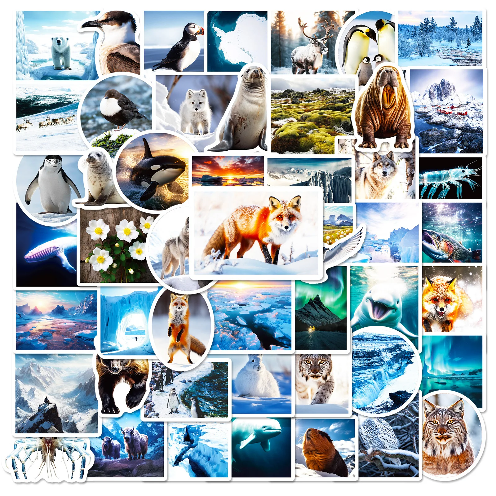 10/30/50PCS Snow Animal Series Cute Penguin Fox Funny Graffiti Sticker Decorative Laptop Luggage Water Cup Waterproof Decal Toy
10/30/50PCS Snow Animal Series Cute Penguin Fox Funny Graffiti Sticker Decorative Laptop Luggage Water Cup Waterproof Decal Toy