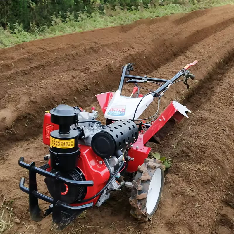 9HP Engine Mini Garden Farm Tiller Cultivator 2-Row Gear High Productivity Eco-Friendly
9HP Engine Mini Garden Farm Tiller Cultivator 2-Row Gear High Productivity Eco-Friendly