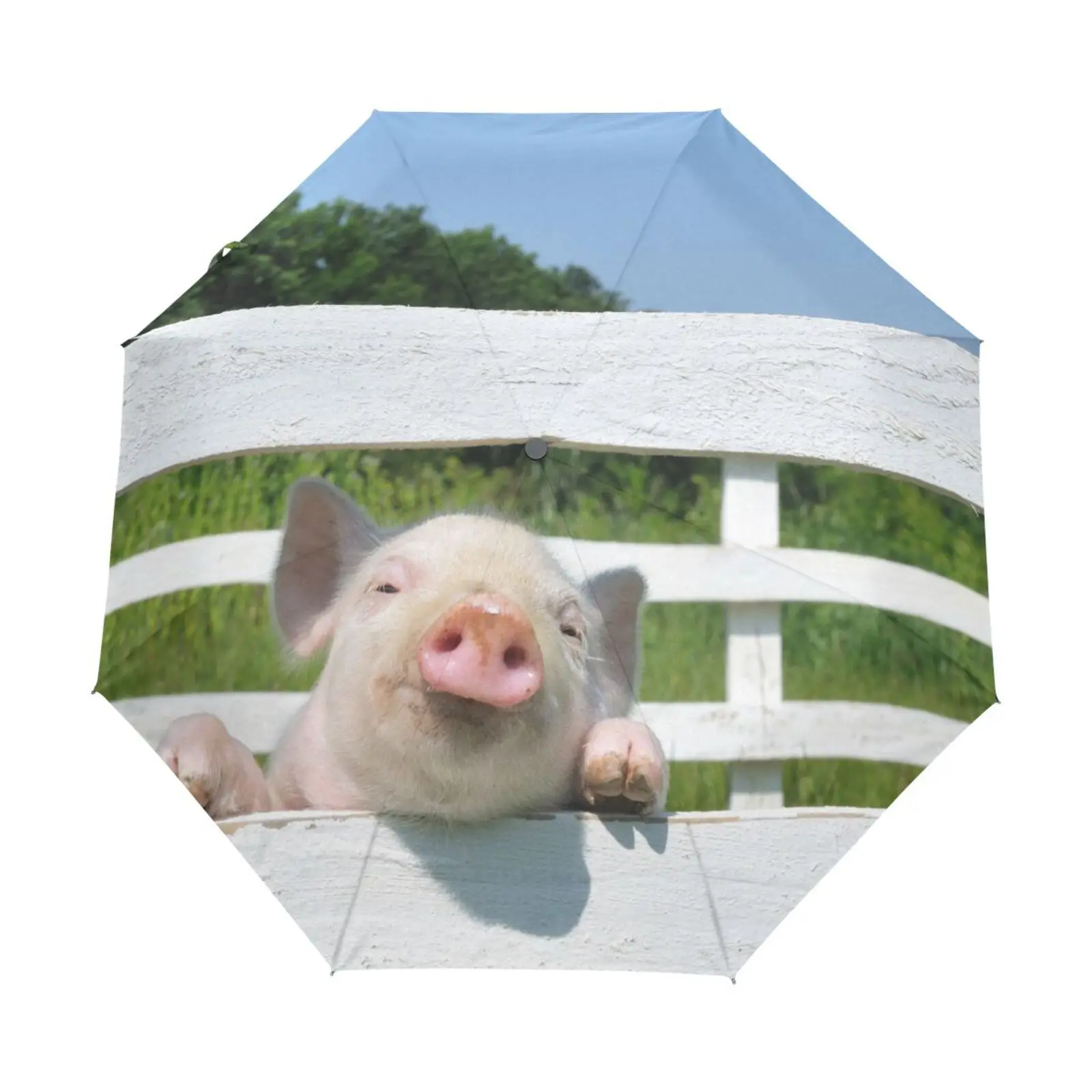 Small Pig On Fence Pattern Three Folding Umbrella Parasol With Anti-UV Black Coating Women Portable Automatic Rain Umbrella
Small Pig On Fence Pattern Three Folding Umbrella Parasol With Anti-UV Black Coating Women Portable Automatic Rain Umbrella