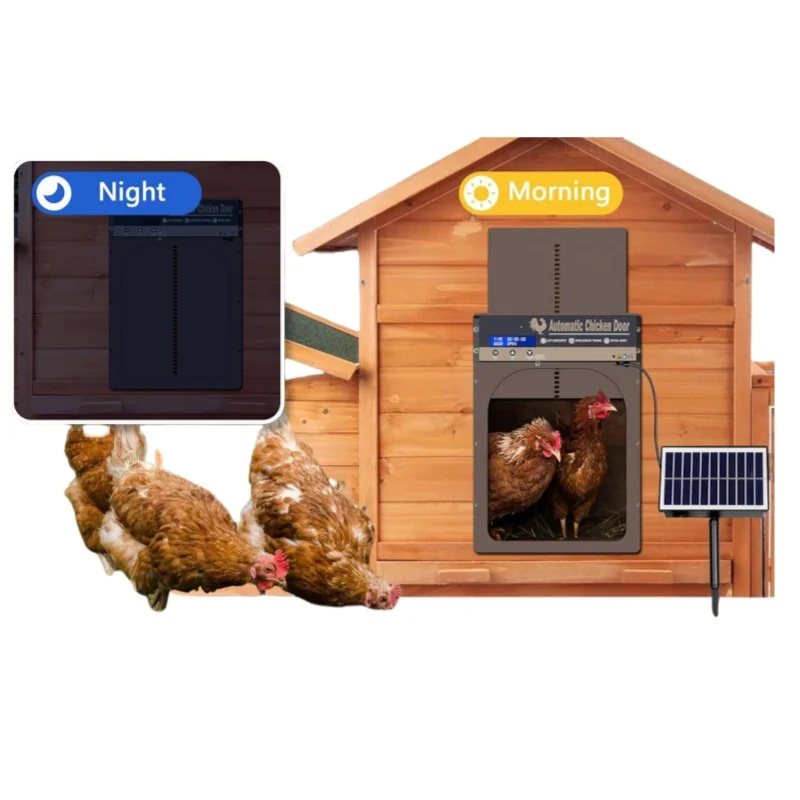 Modern Style Intelligent Automatic Lifting Chicken Coop Door Smart Solar Powered Pet House Waterproof Feature Solid Metal
Modern Style Intelligent Automatic Lifting Chicken Coop Door Smart Solar Powered Pet House Waterproof Feature Solid Metal