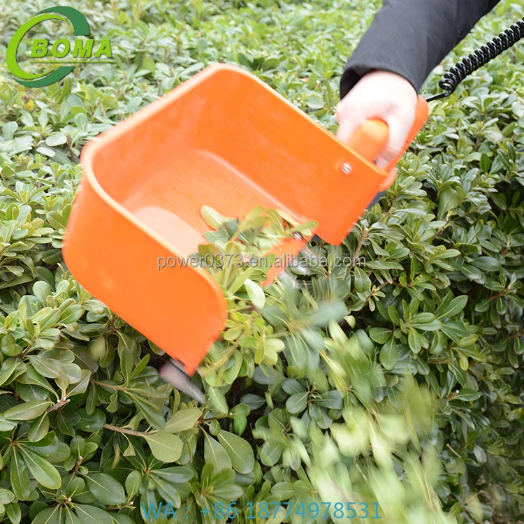 d Mini Tea Leaf Picking Machine Tea HarvesterFactory Price Portable Hand 24v Electric Tea Plucker Handhel
d Mini Tea Leaf Picking Machine Tea HarvesterFactory Price Portable Hand 24v Electric Tea Plucker Handhel