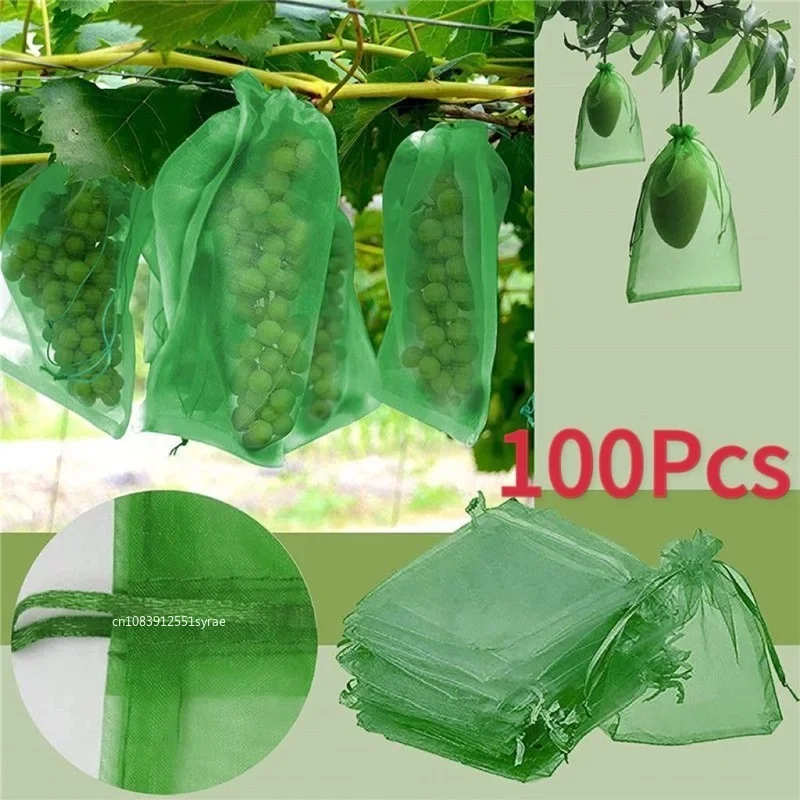 1/5/50/100Pcs Grapes Fruit Protection Bags Pest Control Anti-Bird Garden Netting Bags Mesh Agricultural Tree Garden Tool Bags
1/5/50/100Pcs Grapes Fruit Protection Bags Pest Control Anti-Bird Garden Netting Bags Mesh Agricultural Tree Garden Tool Bags