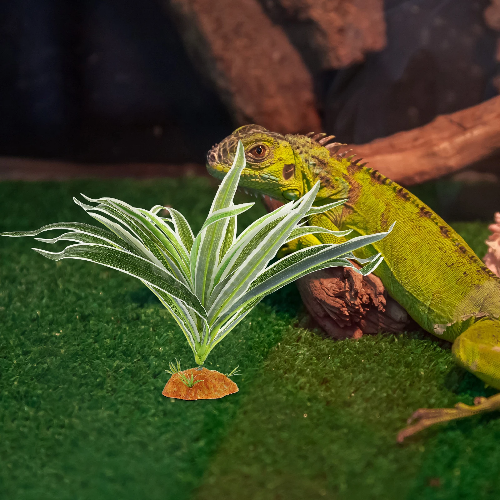 Fake Green Grass Plant Lifelike Reptile Tank Decor Artificial Plants Lizard Habitat Terrarium Fish Aquarium Accessories Smooth
Fake Green Grass Plant Lifelike Reptile Tank Decor Artificial Plants Lizard Habitat Terrarium Fish Aquarium Accessories Smooth