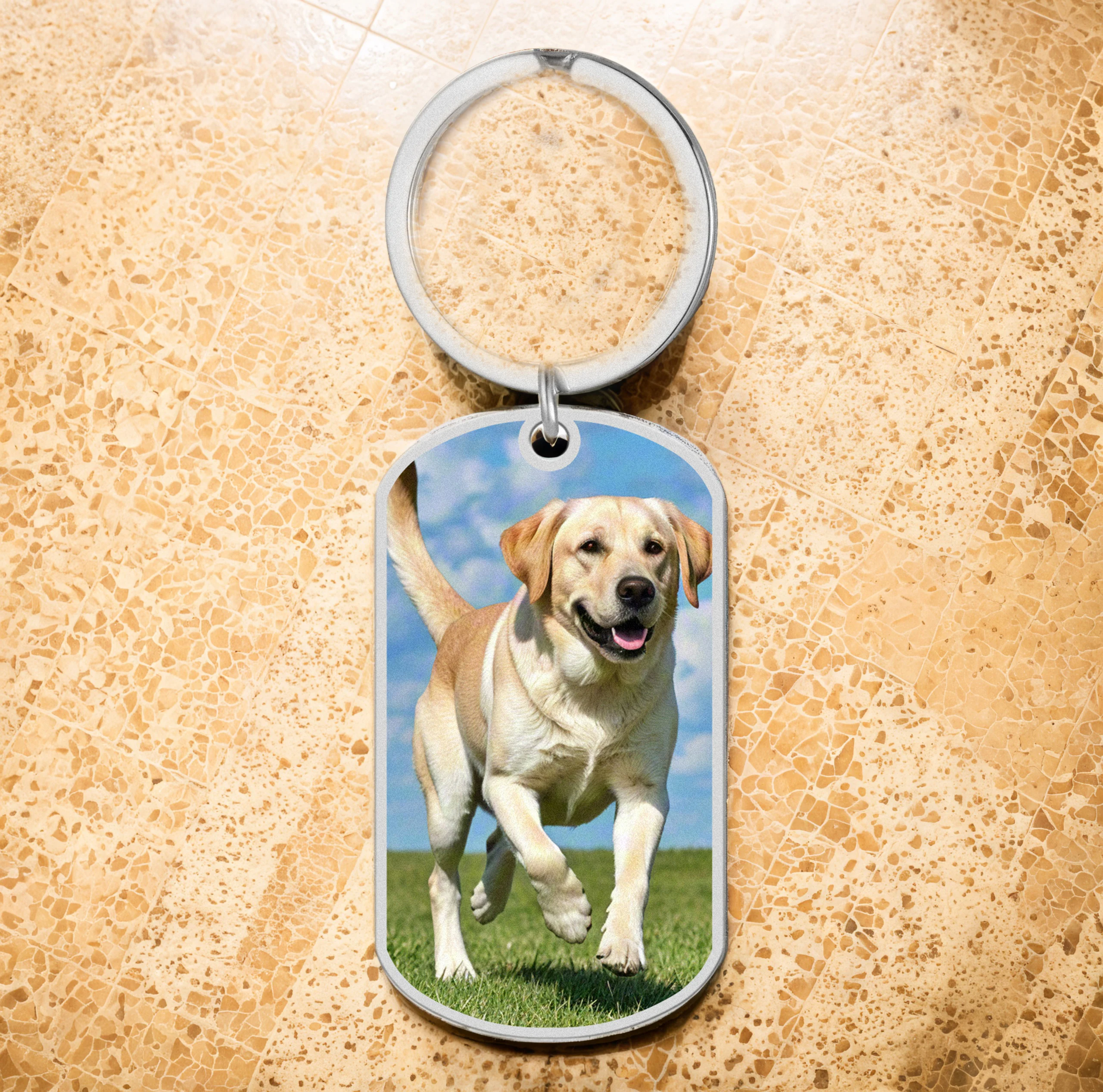 Dreamtimes Personalized Dog Tag Photo Stainless Steel Keychain Custom Photo Keychain Gift Cat Dog Pet Memorial Gifts
Dreamtimes Personalized Dog Tag Photo Stainless Steel Keychain Custom Photo Keychain Gift Cat Dog Pet Memorial Gifts
