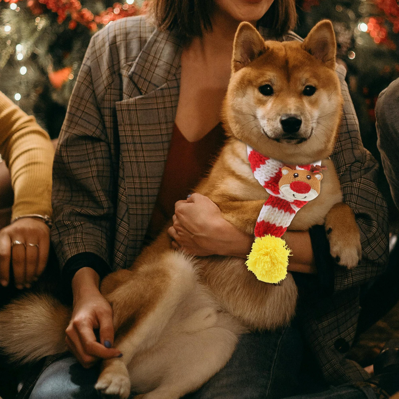 Pet Scarf Comfortable Pets Decor Breathable Cat Clothing Christmas Dog Santa Sweater Accessories
Pet Scarf Comfortable Pets Decor Breathable Cat Clothing Christmas Dog Santa Sweater Accessories