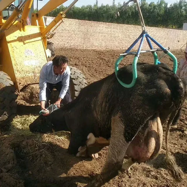 Стоячая рама для крупного рогатого скота, утолщенная корова, вспомогательная стоячая рама, ветеринарная фиксированная рама, вешалка
Стоячая рама для крупного рогатого скота, утолщенная корова, вспомогательная стоячая рама, ветеринарная фиксированная рама, вешалка