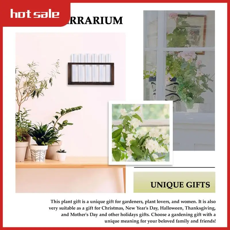 A21I-Plant Terrarium With Wooden Stand, Desktop/Wall Hanging Live Plant Propagation Station Planters Glass Tubes Hydroponic
A21I-Plant Terrarium With Wooden Stand, Desktop/Wall Hanging Live Plant Propagation Station Planters Glass Tubes Hydroponic