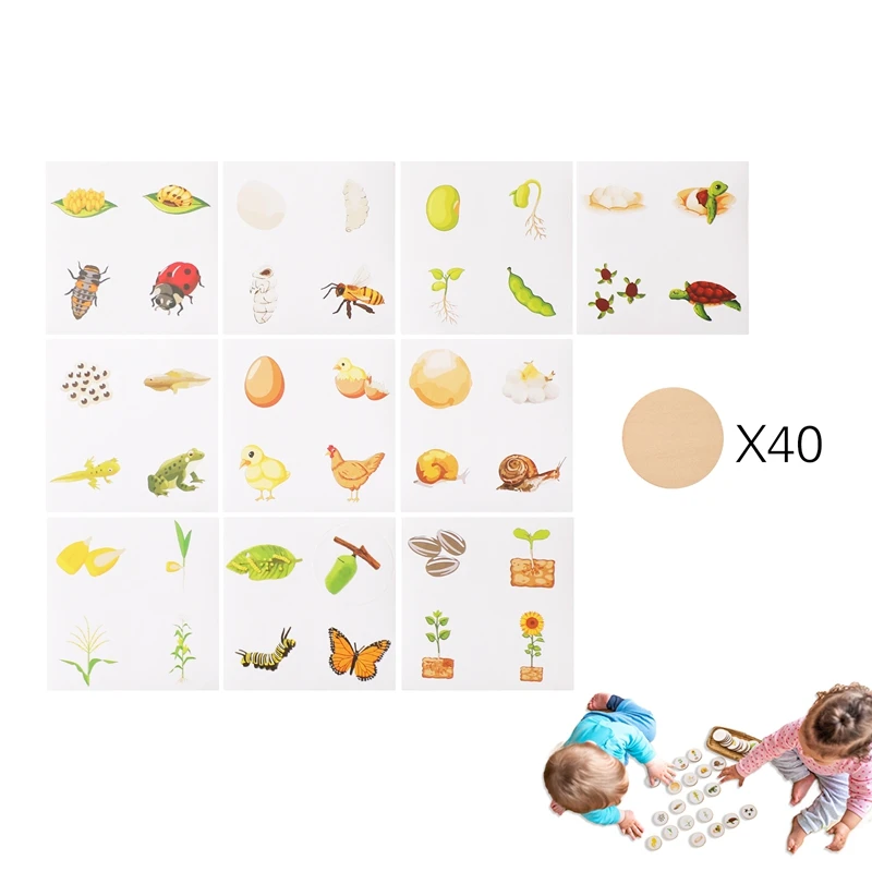 Деревянная детская головоломка Монтессори, обучающая игрушка для детей, детская игра, головоломка, карточка для раннего развития, развивающая сенсорная игрушка, подарок для ребенка
Деревянная детская головоломка Монтессори, обучающая игрушка для детей, детская игра, головоломка, карточка для раннего развития, развивающая сенсорная игрушка, подарок для ребенка