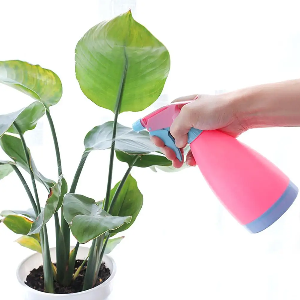 3 Pcs Pump Watering Can Plant Spray Bottle Kettle Fine Mist Garden Sprayer Plants Tool
3 Pcs Pump Watering Can Plant Spray Bottle Kettle Fine Mist Garden Sprayer Plants Tool