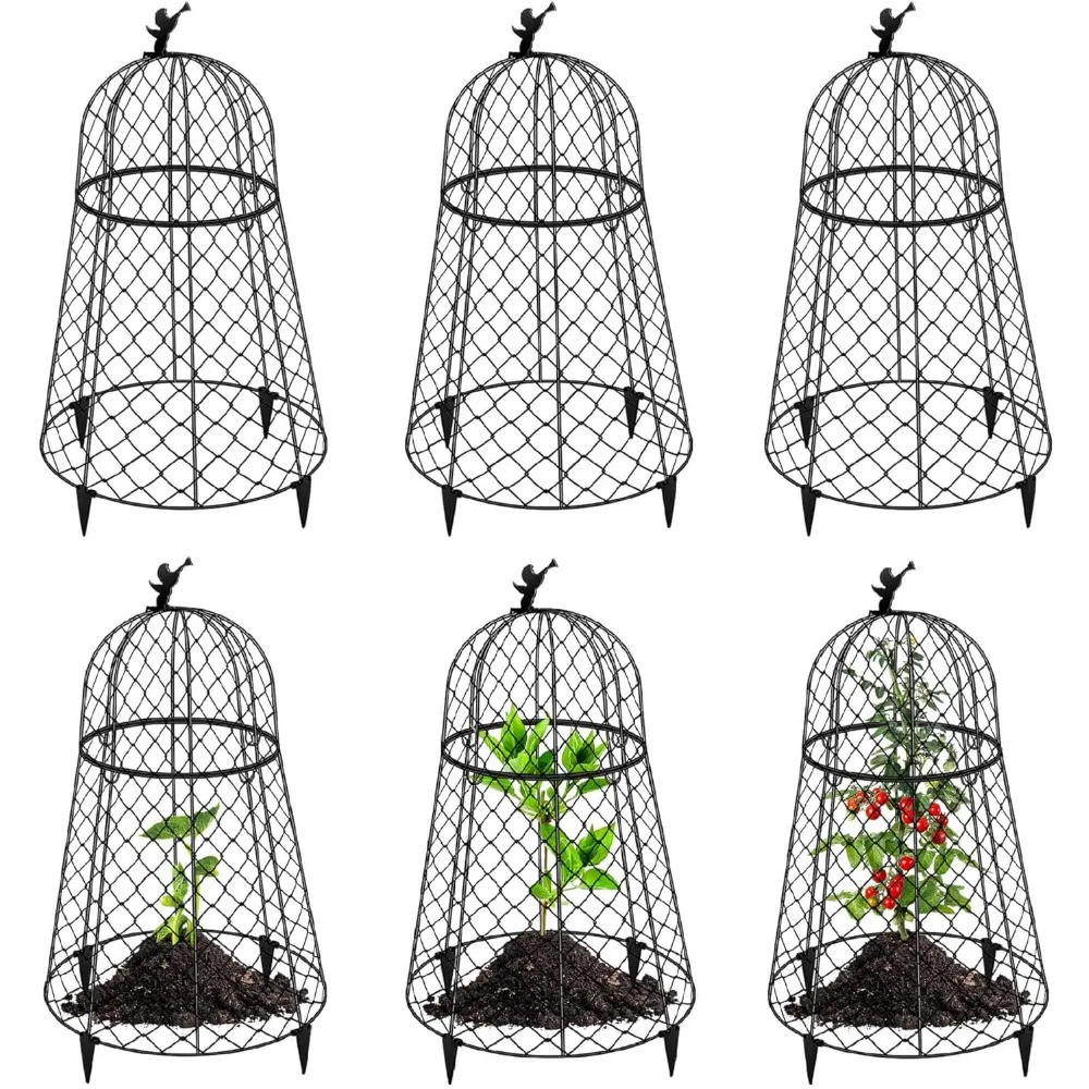 Garden Cloches Plant Protectors Rustproof Chicken Wire Cover 13x20 Inch Large Dome Cloches 6 Pack
Garden Cloches Plant Protectors Rustproof Chicken Wire Cover 13x20 Inch Large Dome Cloches 6 Pack