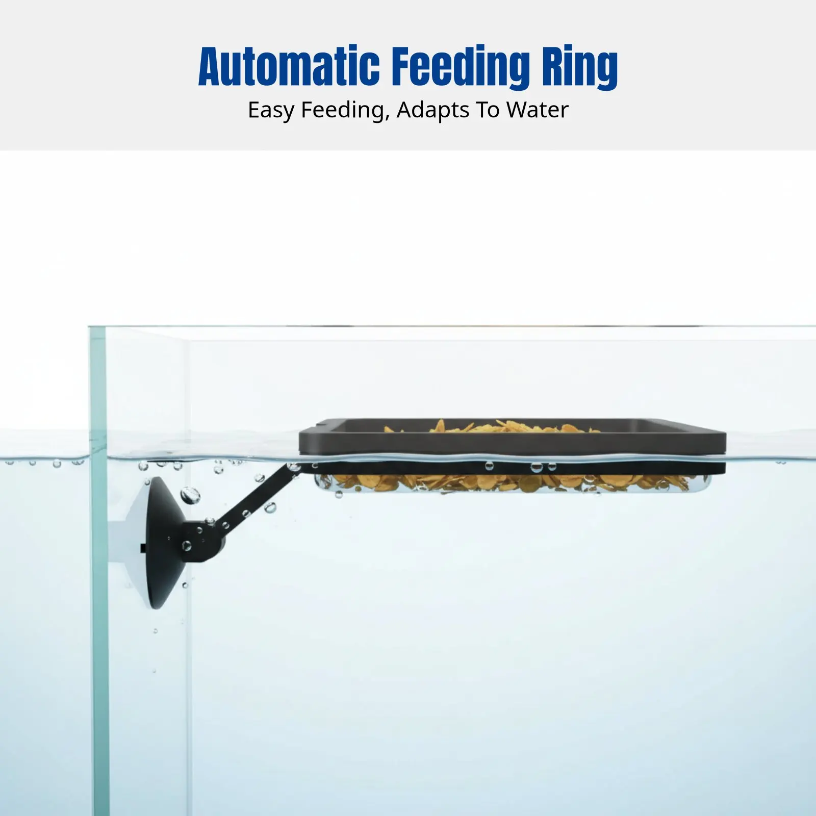 Aquatic Habitat Fish Feeding Ring Food Dispenser, Guppy, Betta, Shrimp, Prevents Food Scattering, Multiple Designs
Aquatic Habitat Fish Feeding Ring Food Dispenser, Guppy, Betta, Shrimp, Prevents Food Scattering, Multiple Designs