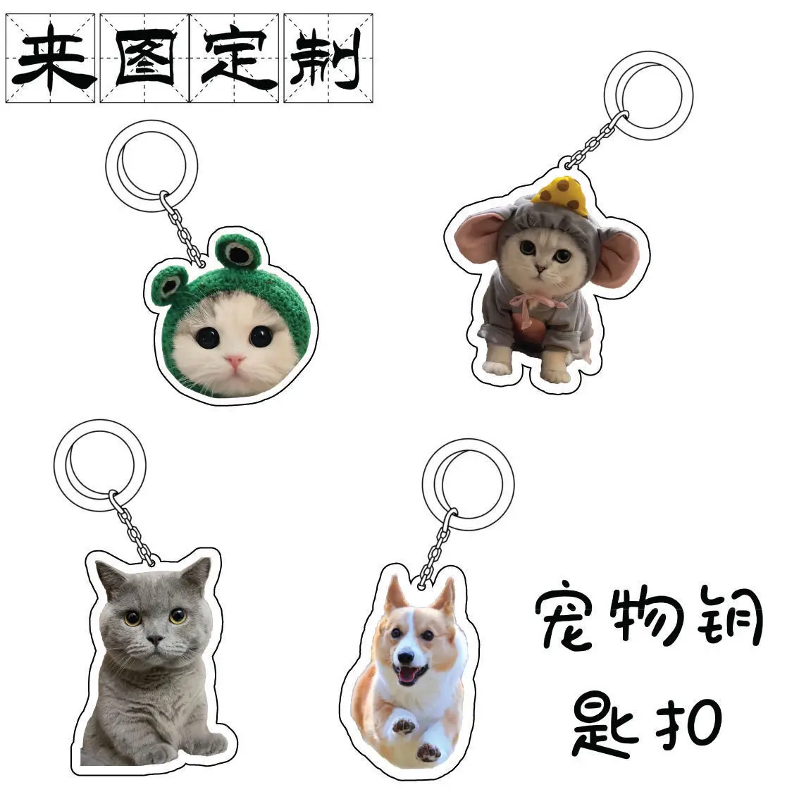 Personalized Pet Cat Dog ID Tag Collar Accessories Custom Engraved Necklace Chain Photo Supplies For Dog Tag Picture Products
Personalized Pet Cat Dog ID Tag Collar Accessories Custom Engraved Necklace Chain Photo Supplies For Dog Tag Picture Products