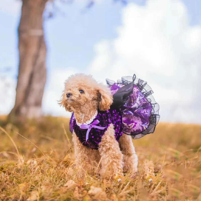 Trendy Holiday Pet Party Gown Elegant Wedding Princess Skirt Christmas Costume Outfit Comfortable Fashion Garment for Small Pets
Trendy Holiday Pet Party Gown Elegant Wedding Princess Skirt Christmas Costume Outfit Comfortable Fashion Garment for Small Pets