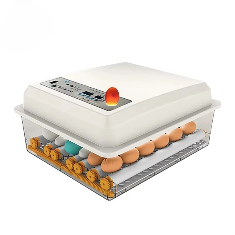 24/36 Eggs Chicken/Duck/Quail Incubator Automatic Turner Poultry Birds Incubator Hatcher
24/36 Eggs Chicken/Duck/Quail Incubator Automatic Turner Poultry Birds Incubator Hatcher