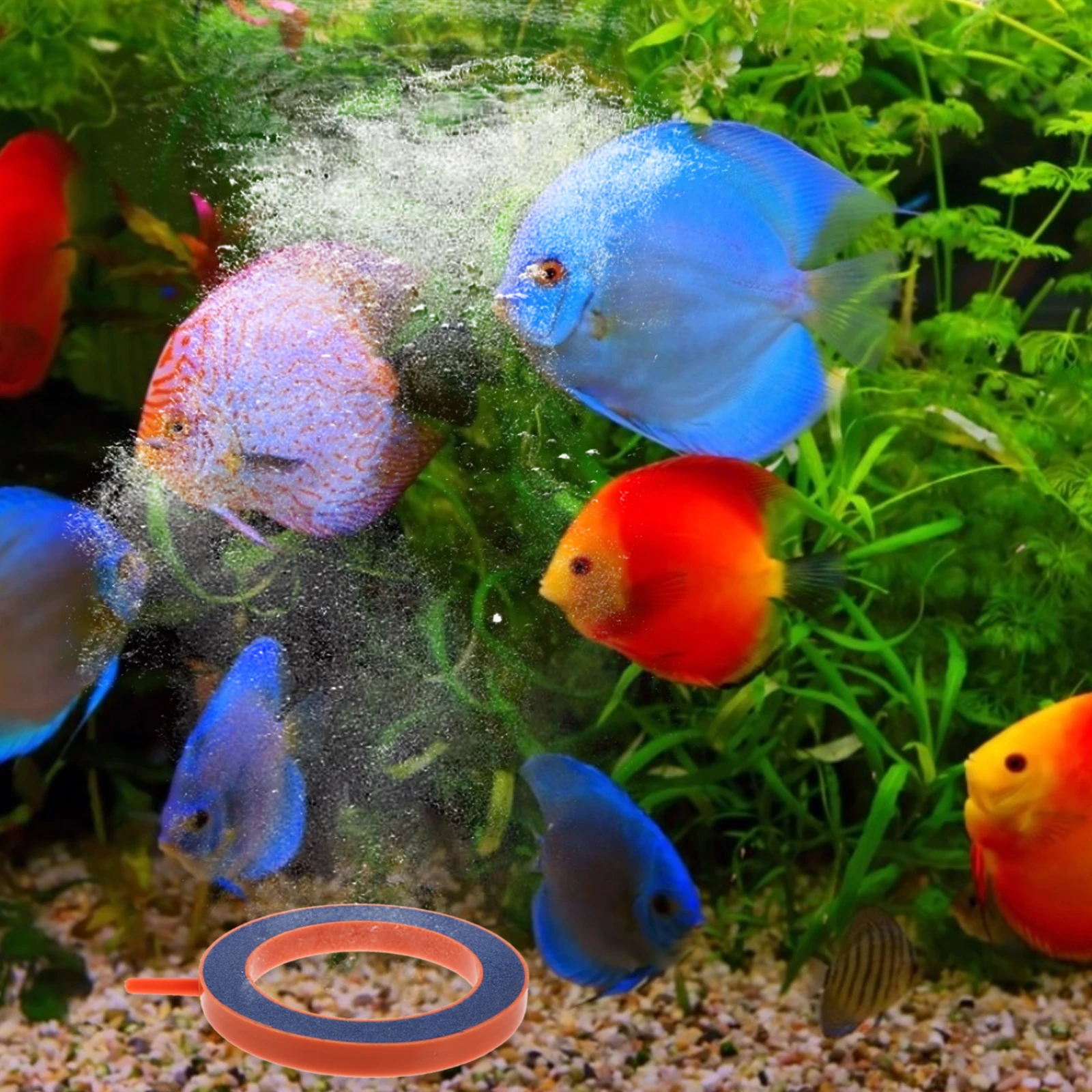 2 Pcs Aerobic Pump Bubble Stone Aquarium Bubbler Decor Diffuser Oxygen Air Small for Fish Tank Diffusers
2 Pcs Aerobic Pump Bubble Stone Aquarium Bubbler Decor Diffuser Oxygen Air Small for Fish Tank Diffusers