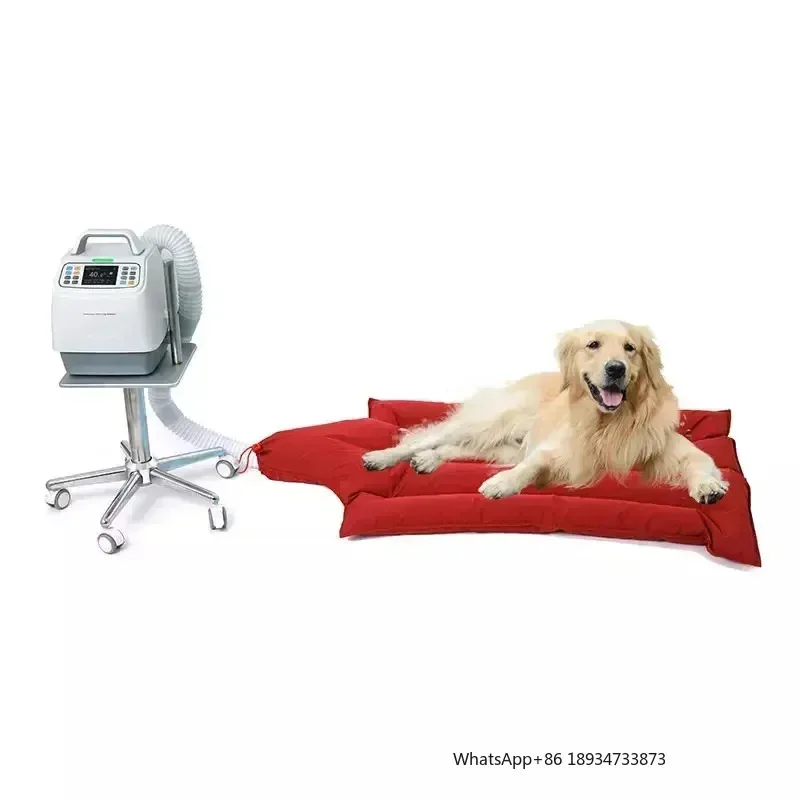 Veterinary Patient Warmer Blanket Vet Hugger Automatic Surgery Veterinary Air Warming System
Veterinary Patient Warmer Blanket Vet Hugger Automatic Surgery Veterinary Air Warming System
