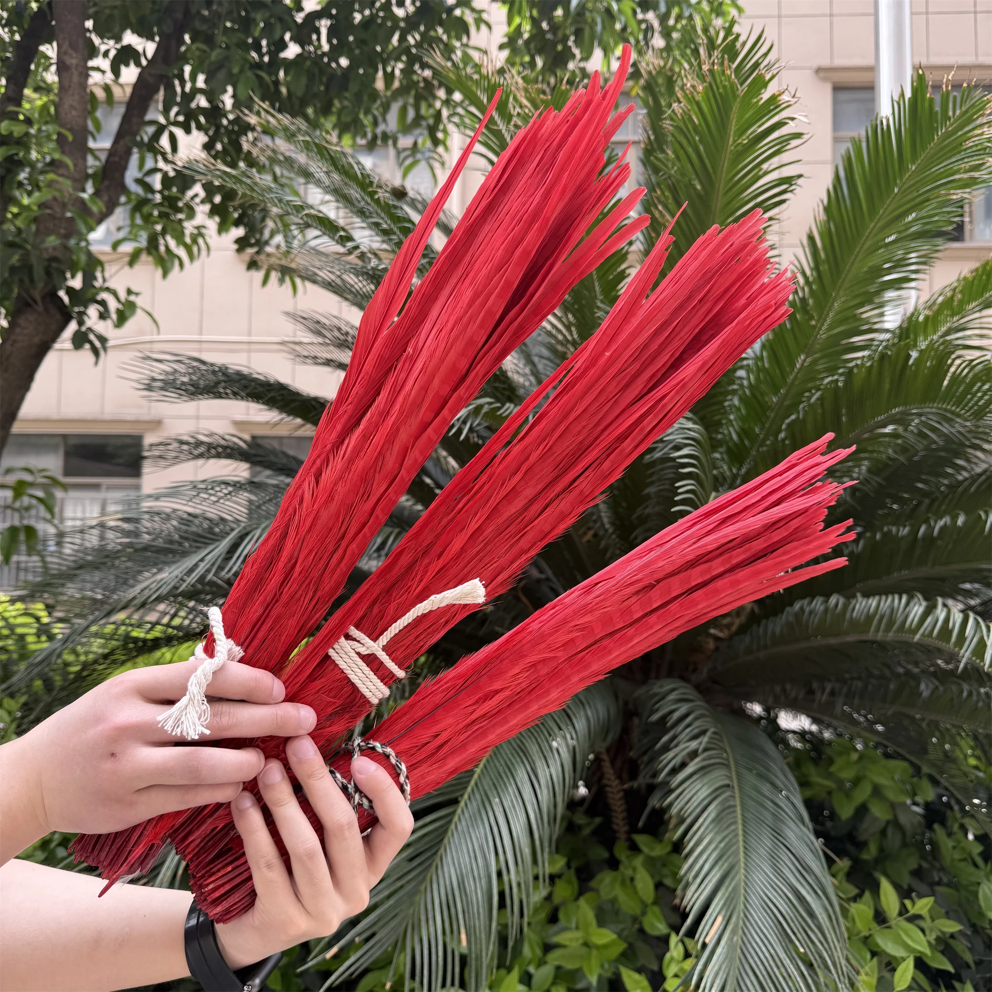 10Pcs/Lot Red Pheasant Tail Feathers 35-60CM/14-24" Natural Rooster Feathers for Crafts Wedding Party Decorations Feather Decor
10Pcs/Lot Red Pheasant Tail Feathers 35-60CM/14-24" Natural Rooster Feathers for Crafts Wedding Party Decorations Feather Decor