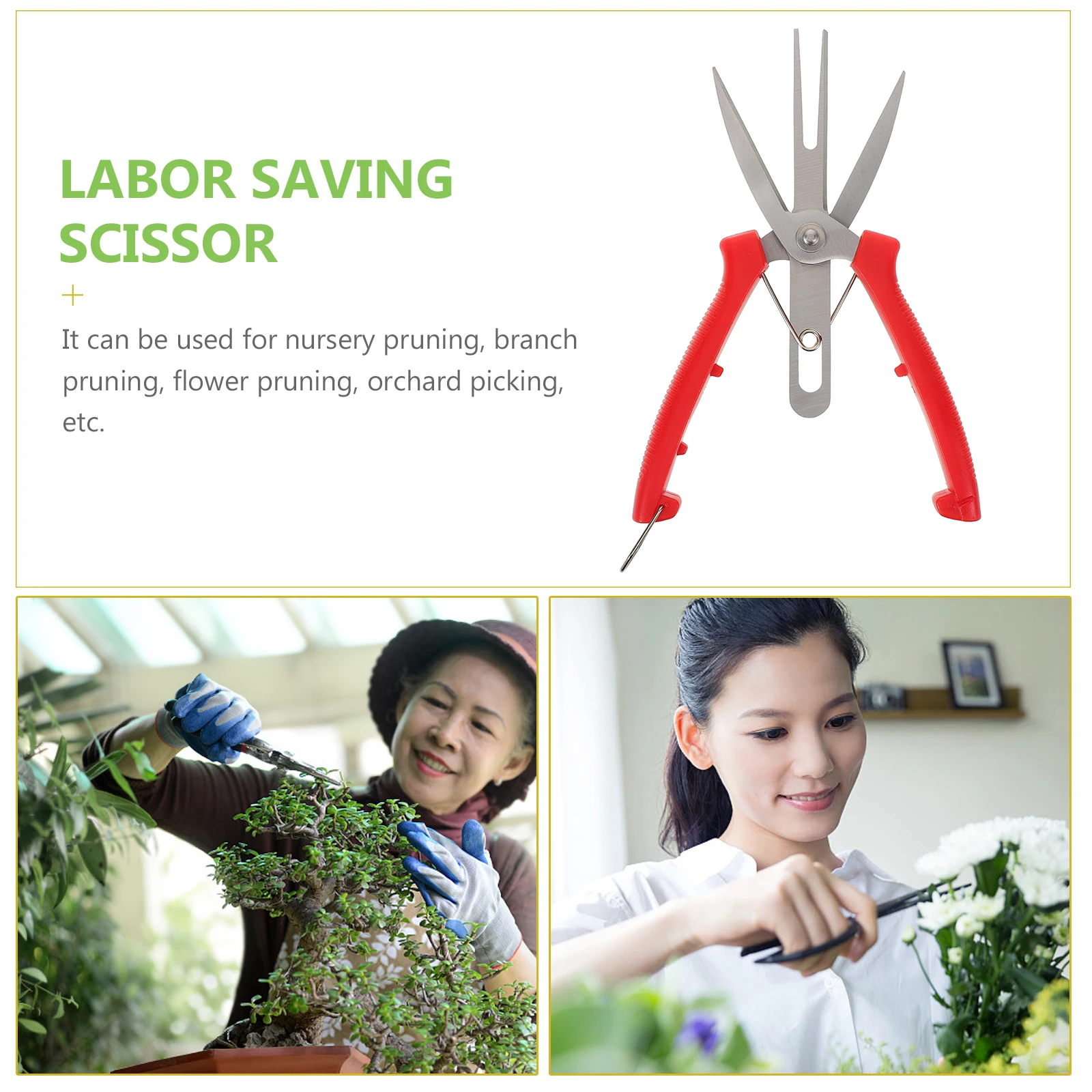 Fruit Thinning Shears Pruning Tree Trimming Hand Gardening Plant Scissors Red Practical Lightweight Durable Ergonomic Handle
Fruit Thinning Shears Pruning Tree Trimming Hand Gardening Plant Scissors Red Practical Lightweight Durable Ergonomic Handle