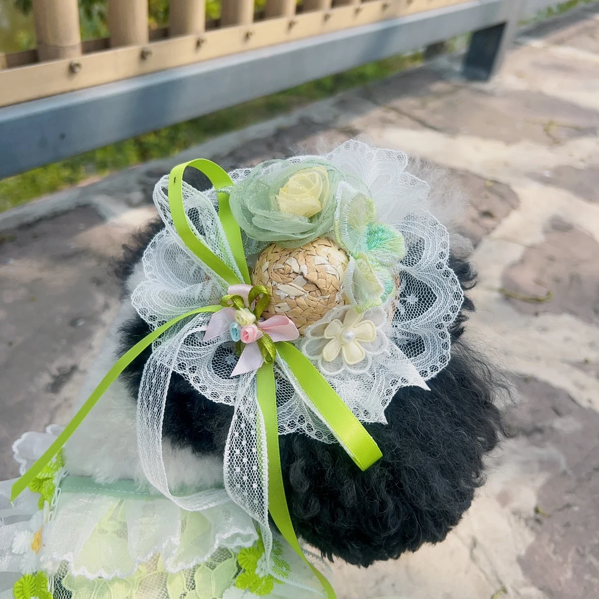 Pet Dog Lovely Colorful Hat Hairpins Pet Dogs Hair Clips for Puppy Dogs Cat Yorkshire Teddy Pet Headwear Photography Accessories
Pet Dog Lovely Colorful Hat Hairpins Pet Dogs Hair Clips for Puppy Dogs Cat Yorkshire Teddy Pet Headwear Photography Accessories