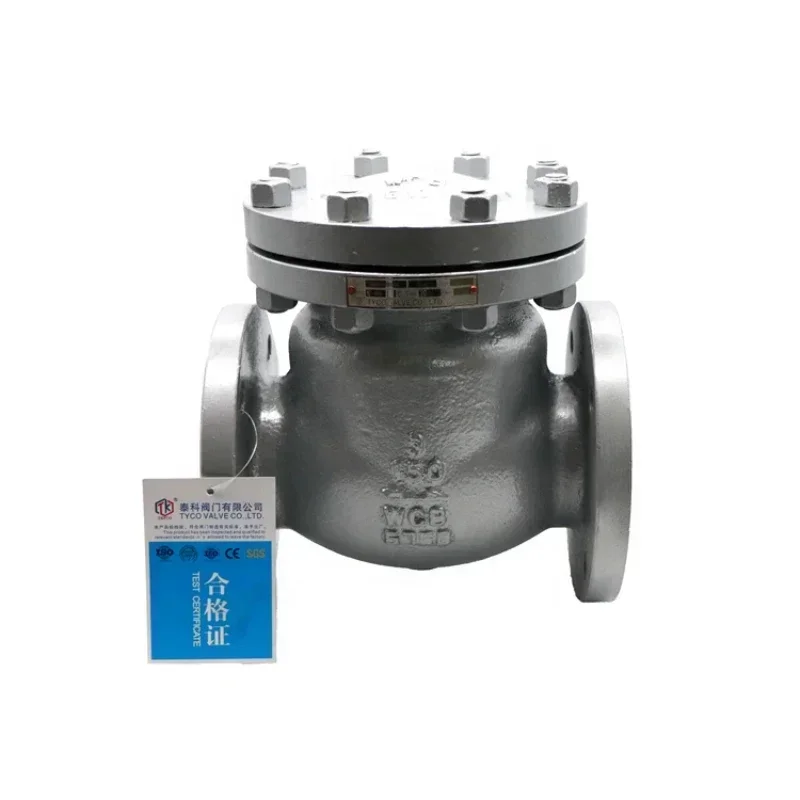 Hot SalesWater Wafer Hydraulic Check Valve Price Swing Check Valve Water Non Return Valve
Hot SalesWater Wafer Hydraulic Check Valve Price Swing Check Valve Water Non Return Valve