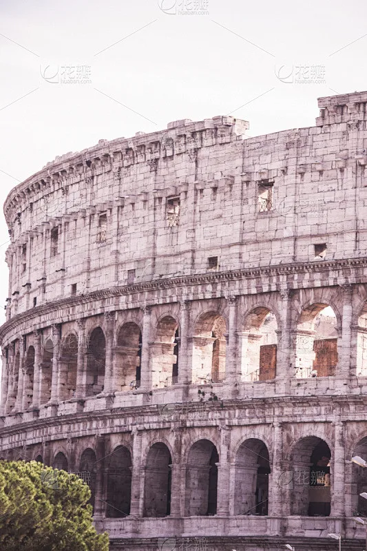 FOR MJX 14211 1/14 SCT Chromium Steel Center Shaft & Differentials Set Front/Rear Upgrade Kit for RC Truck
FOR MJX 14211 1/14 SCT Chromium Steel Center Shaft & Differentials Set Front/Rear Upgrade Kit for RC Truck