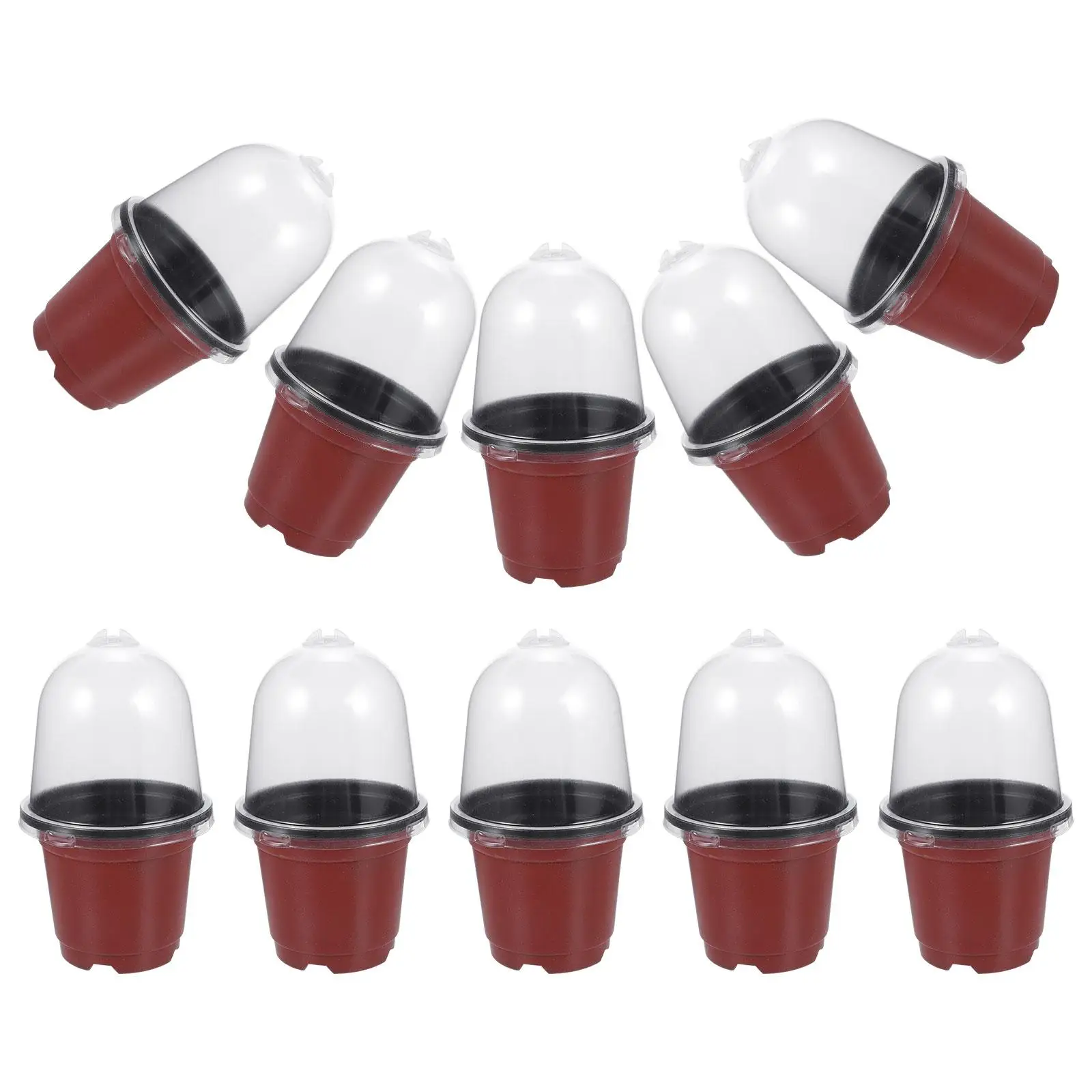 10 set Double Color Nursery Pots with Transparent Dome Plastic Planting Containers for Succulents Use
10 set Double Color Nursery Pots with Transparent Dome Plastic Planting Containers for Succulents Use