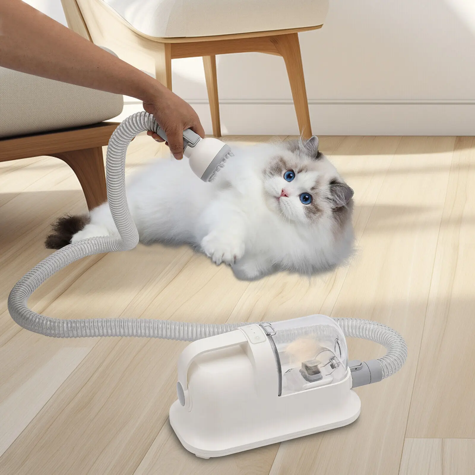 350W 1.4L/1.27qt Pet Dog Cat Grooming Vacuum Air Intake Hair Shedding Brush Pet Hair Tool 11800Pa
350W 1.4L/1.27qt Pet Dog Cat Grooming Vacuum Air Intake Hair Shedding Brush Pet Hair Tool 11800Pa