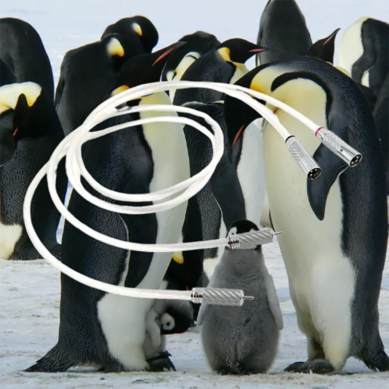 Reference Hybrid Sync Cable - Cryo Silver-Plated OFC w/Carbon Shell & Dual-Ground Shield
Reference Hybrid Sync Cable - Cryo Silver-Plated OFC w/Carbon Shell & Dual-Ground Shield