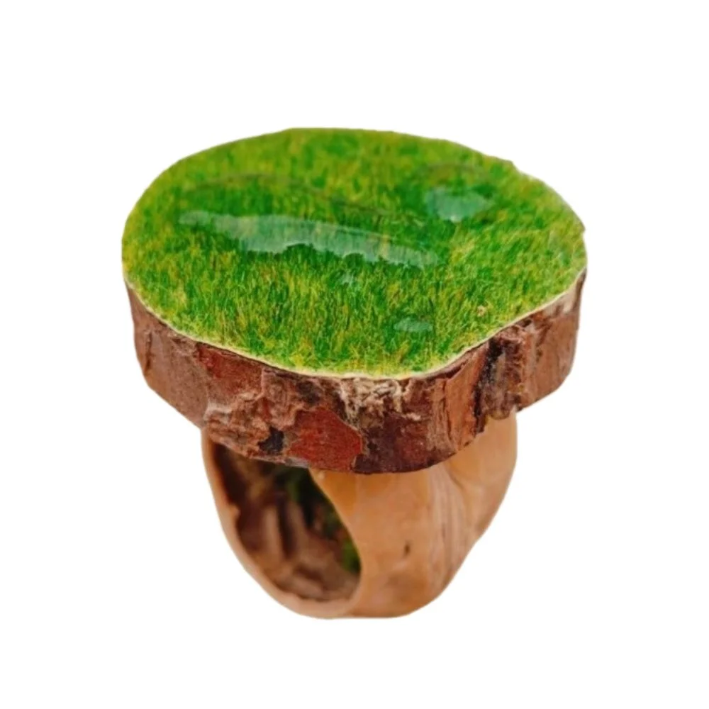 New Wooden Jumping Spider Hideout Magnetic Install Hanging Spider Habitat Simulated Moss Insect Hide House Small Pet Supplies
New Wooden Jumping Spider Hideout Magnetic Install Hanging Spider Habitat Simulated Moss Insect Hide House Small Pet Supplies