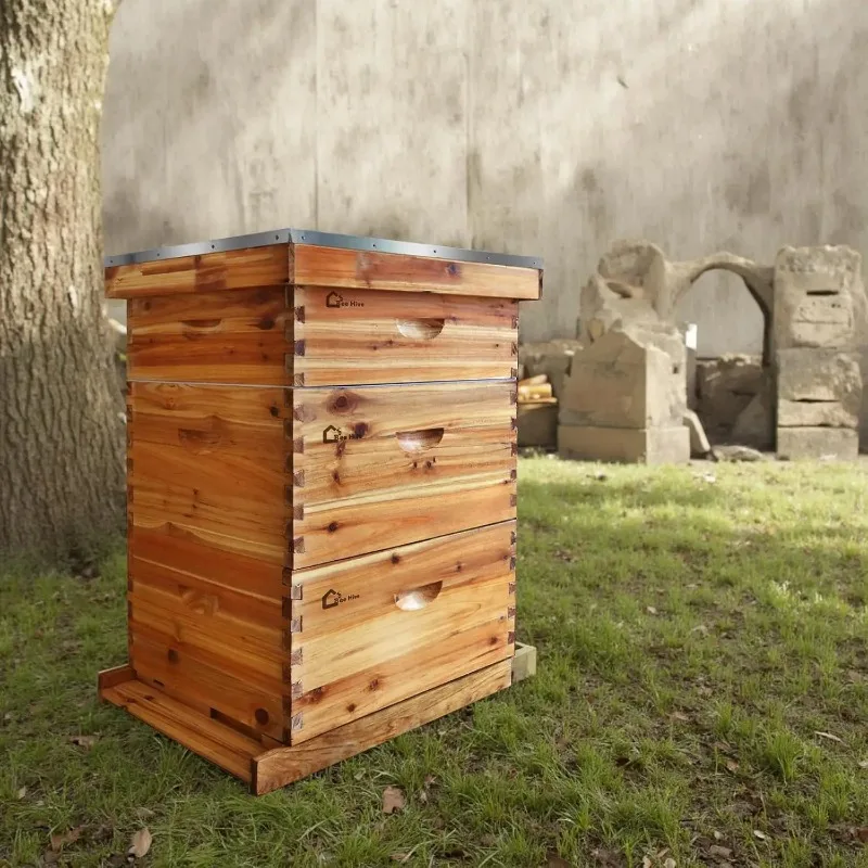 10-Frame Complete Beehive Kit, Wax Coated Bee Hives for Beginner, Includes 2 Deep Box and 1 Medium Bee Box with Beehives Frames
10-Frame Complete Beehive Kit, Wax Coated Bee Hives for Beginner, Includes 2 Deep Box and 1 Medium Bee Box with Beehives Frames