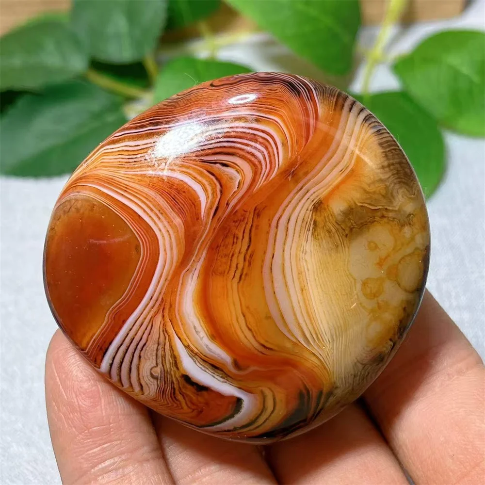 Carnelian Agate Palm Stone Quartz Specimen Crystal Natural Reiki Gemstone Healing Mineral Specimen Home Decoration
Carnelian Agate Palm Stone Quartz Specimen Crystal Natural Reiki Gemstone Healing Mineral Specimen Home Decoration
