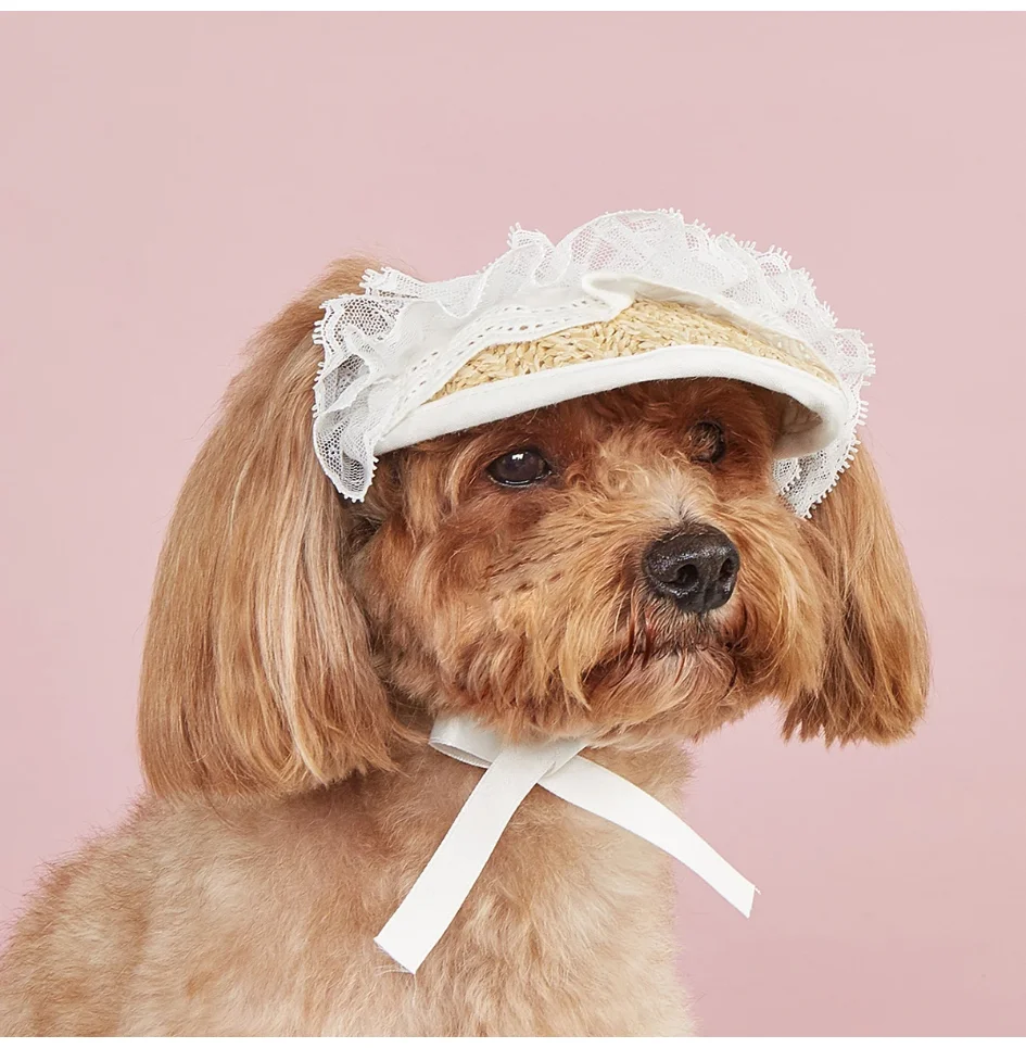 Summer Pet Sunshade Hat Adjustable Elastic Hat Fashionable And Versatile Lace Bow dog cat Hat
Summer Pet Sunshade Hat Adjustable Elastic Hat Fashionable And Versatile Lace Bow dog cat Hat