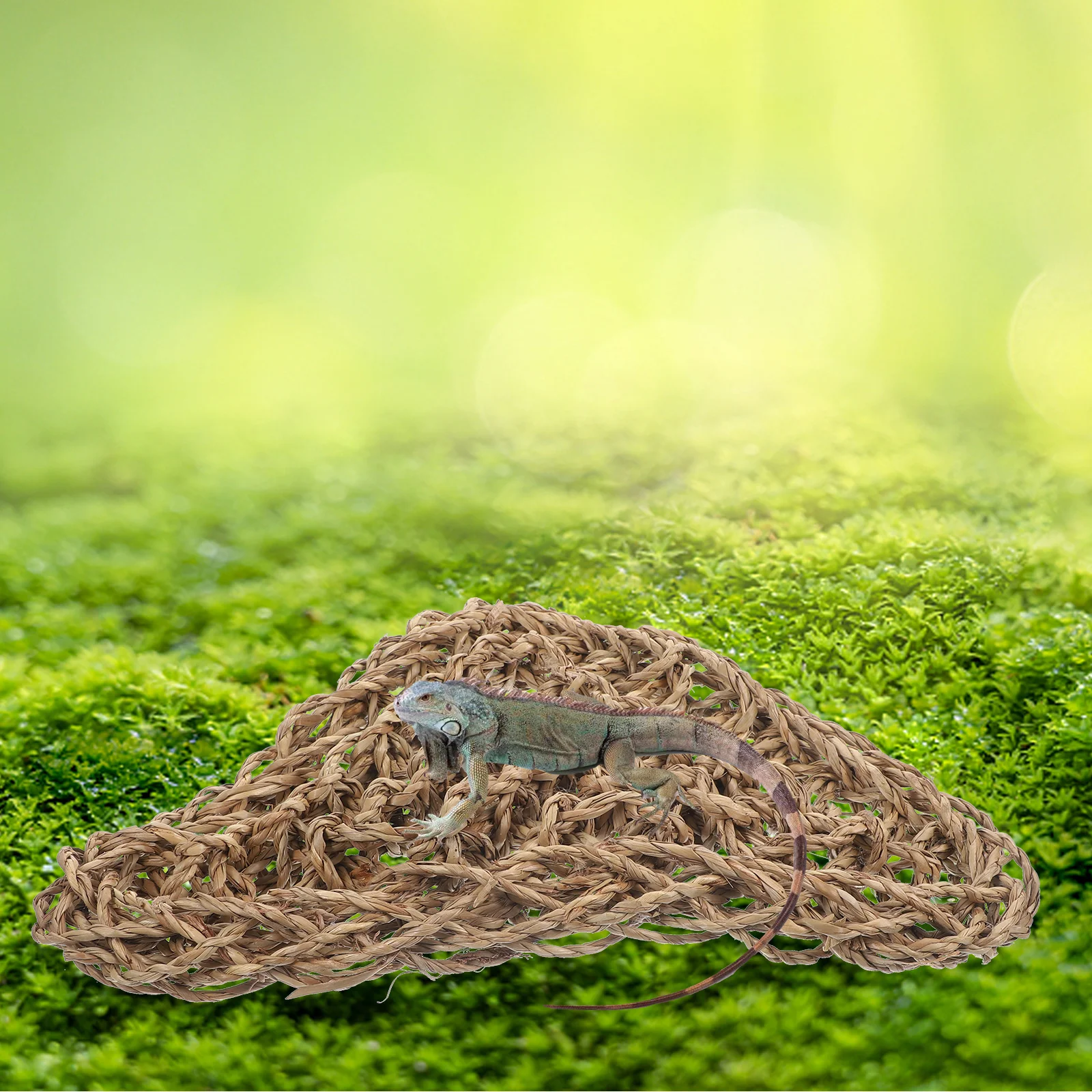 1Set Reptile Hammock Easy Clean Lizards Plaything Creative Hanging Bed Pet Supplies Reptile Hammock Lizard Sleeping Bed
1Set Reptile Hammock Easy Clean Lizards Plaything Creative Hanging Bed Pet Supplies Reptile Hammock Lizard Sleeping Bed