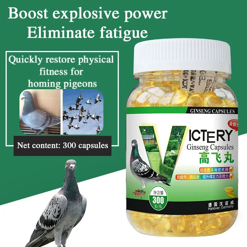 Racing Pigeons Can Enhance Explosive Power Eliminate Fatigue and Recover Quickly Which Is A Must for Pigeons To Enhance Immunity
Racing Pigeons Can Enhance Explosive Power Eliminate Fatigue and Recover Quickly Which Is A Must for Pigeons To Enhance Immunity
