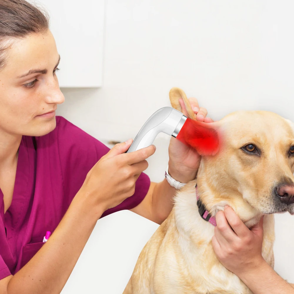 Портативный лазерный терапевтический аппарат с красным светом для животных: облегчение боли, лазерная терапия, персональный прибор для ухода
Портативный лазерный терапевтический аппарат с красным светом для животных: облегчение боли, лазерная терапия, персональный прибор для ухода