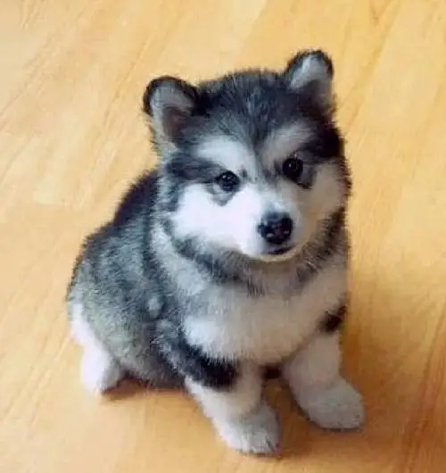 Чехол для автомобиля на заказ - для Volkswagen Passat, защита от царапин, пыли, УФ-излучения, всепогодная защита, автомобильные аксессуары
Чехол для автомобиля на заказ - для Volkswagen Passat, защита от царапин, пыли, УФ-излучения, всепогодная защита, автомобильные аксессуары