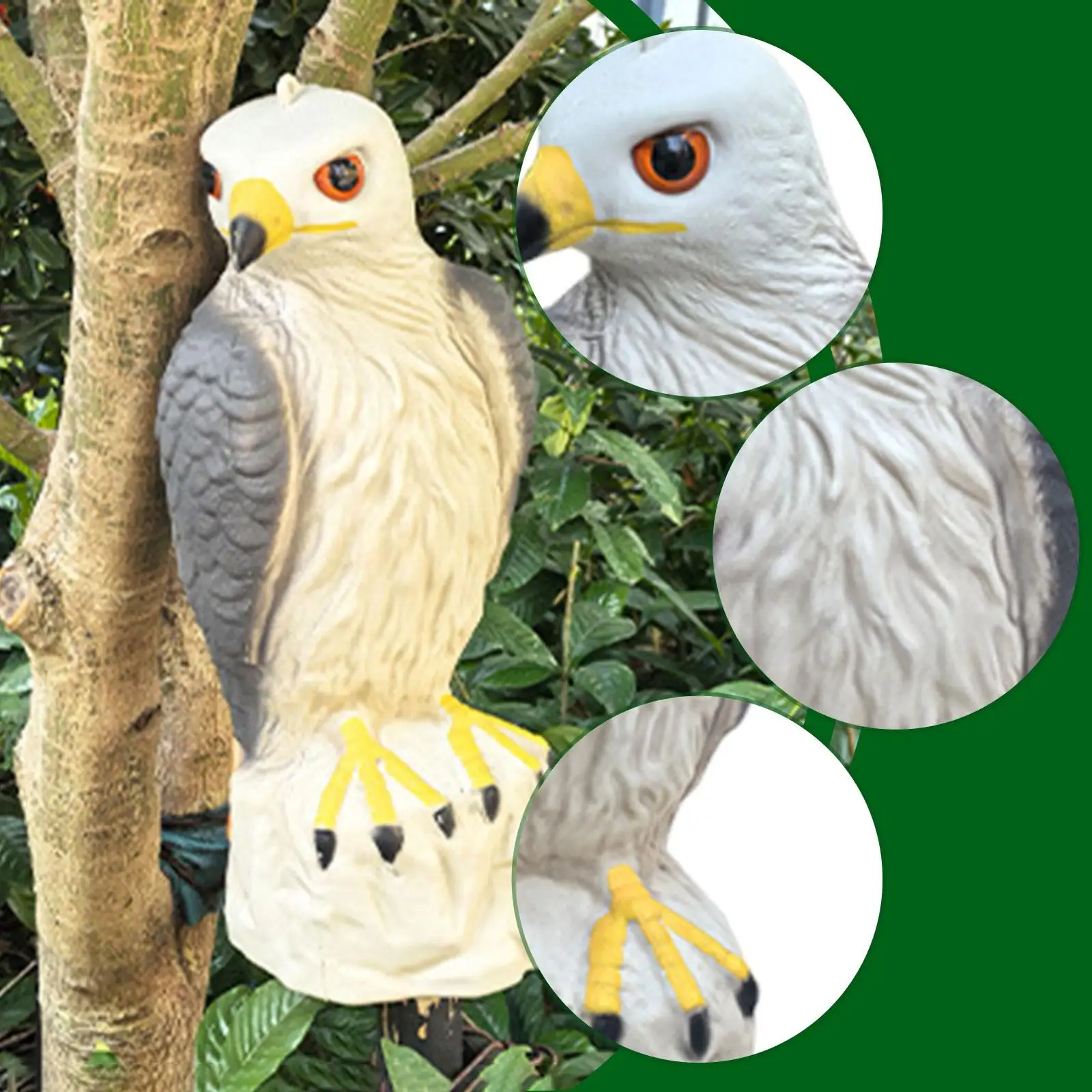 Durable PE Garden Eagle Statue Realistic Bird Repellent Decorative Bird for Outdoor Farm Pathway
Durable PE Garden Eagle Statue Realistic Bird Repellent Decorative Bird for Outdoor Farm Pathway