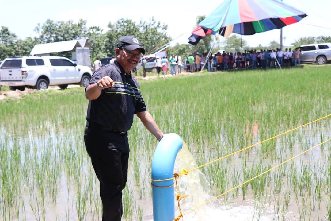 3HP солнечная энергия, коррозионностойкий бустерный насос для морской воды в аквакультуре, 4-дюймовый поверхностный насос с высоким расходом всасывания для орошения
3HP солнечная энергия, коррозионностойкий бустерный насос для морской воды в аквакультуре, 4-дюймовый поверхностный насос с высоким расходом всасывания для орошения