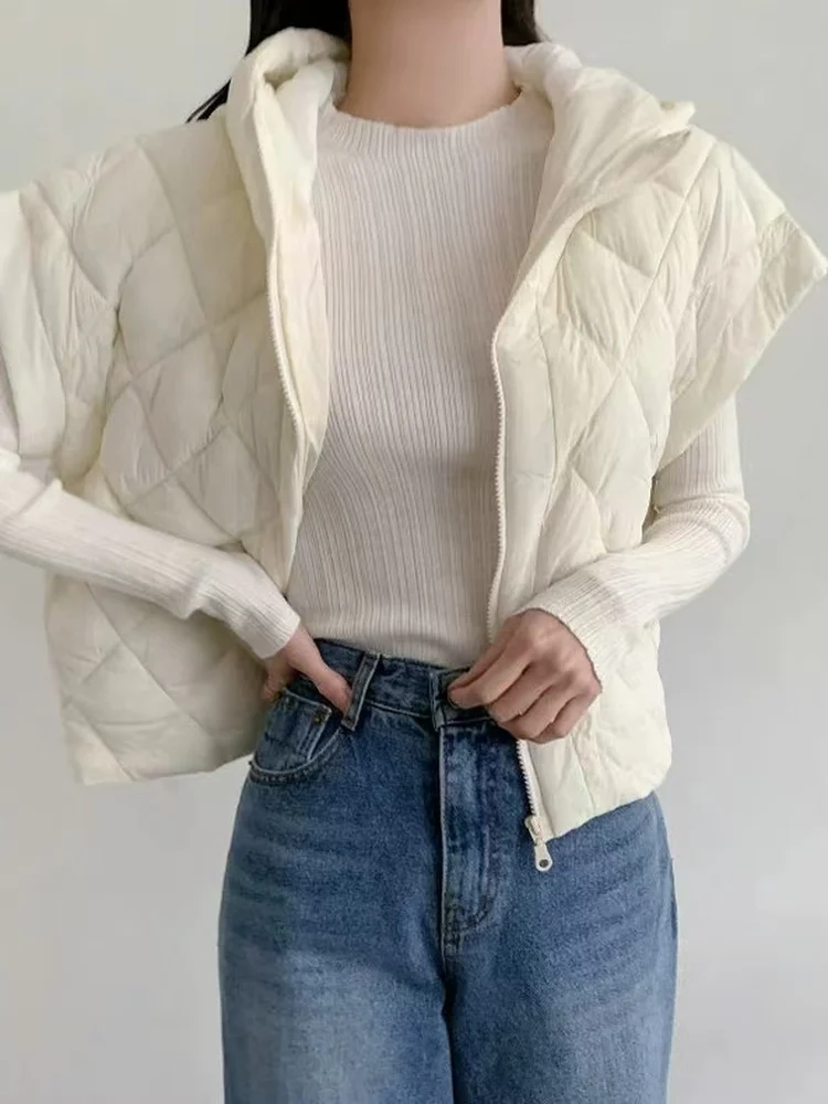 Женский стеганый хлопковый жилет на молнии Batwing Sve, легкая теплая зимняя верхняя одежда с капюшоном Jaet Commute Sle Pure Color
Женский стеганый хлопковый жилет на молнии Batwing Sve, легкая теплая зимняя верхняя одежда с капюшоном Jaet Commute Sle Pure Color