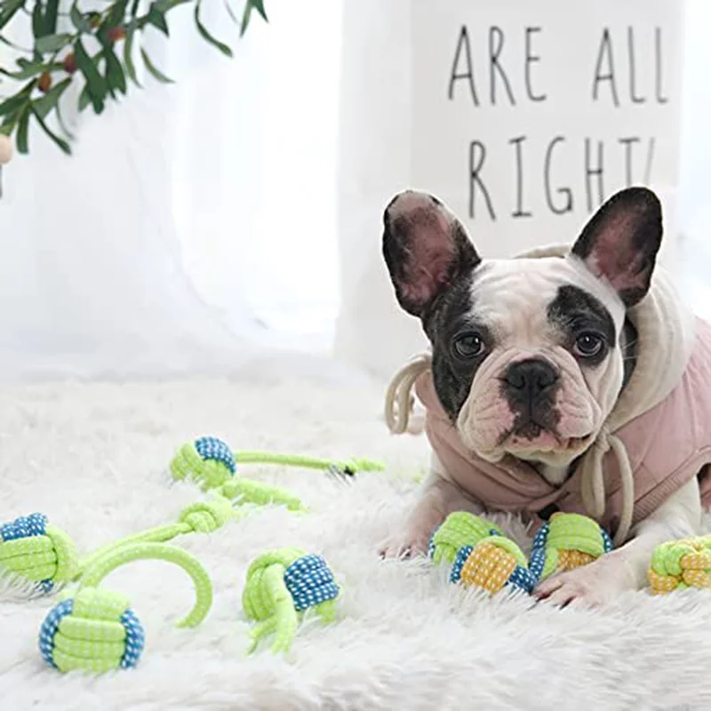 7PCSPet Dog Toys for Large Small Dogs Toys Clean Teeth Cotton Rop Mini Puppy Toys Ball for Dogs Accessories Dog Training Toys
7PCSPet Dog Toys for Large Small Dogs Toys Clean Teeth Cotton Rop Mini Puppy Toys Ball for Dogs Accessories Dog Training Toys