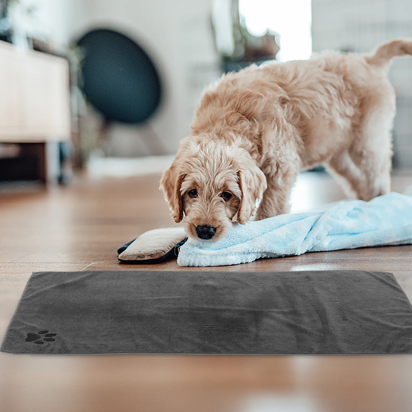 Dog Cat Bath Towel Super Absorbent Soft Microfiber Pet Grooming Quick Drying Towel for Small Pets Multi Functional
Dog Cat Bath Towel Super Absorbent Soft Microfiber Pet Grooming Quick Drying Towel for Small Pets Multi Functional